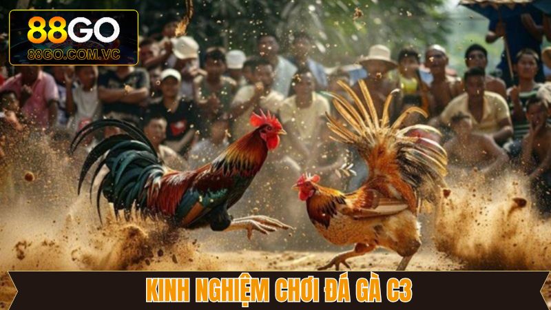 Đá Gà C3 - Trải Nghiệm Kê Trường Đẳng Cấp Tại GO88 4 Đánh giá sức mạnh chiến kê trước khi xuống tiền