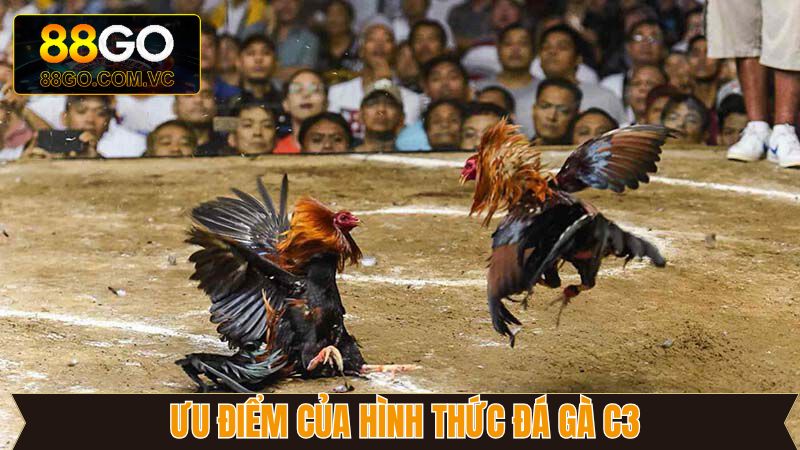 Đá Gà C3 - Trải Nghiệm Kê Trường Đẳng Cấp Tại GO88 3 Đặt cược chọi kê tại nhà cái đơn giản, tiện lợi